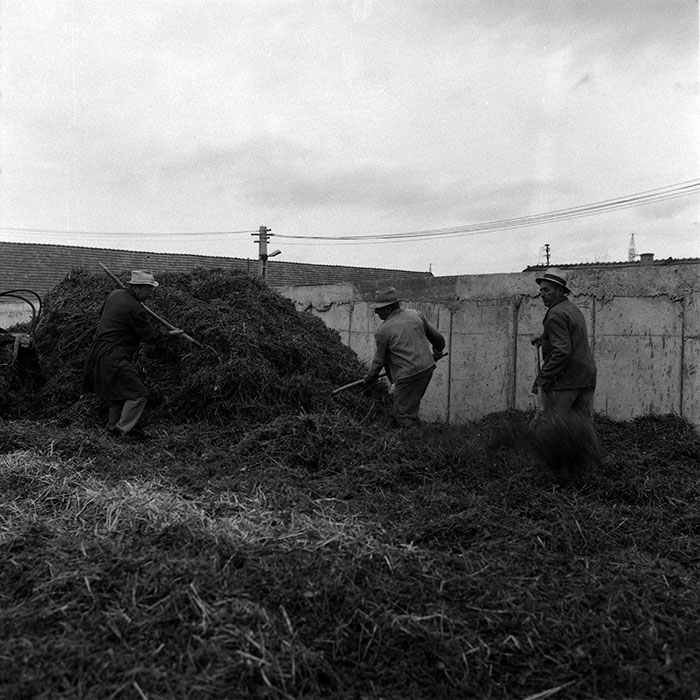 minerva_1987-1988_Industrie_c2_c6r2_010