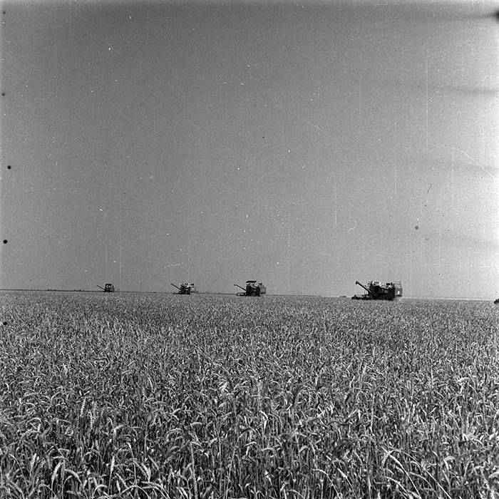 minerva_1987-1991_c2_c1r3_007