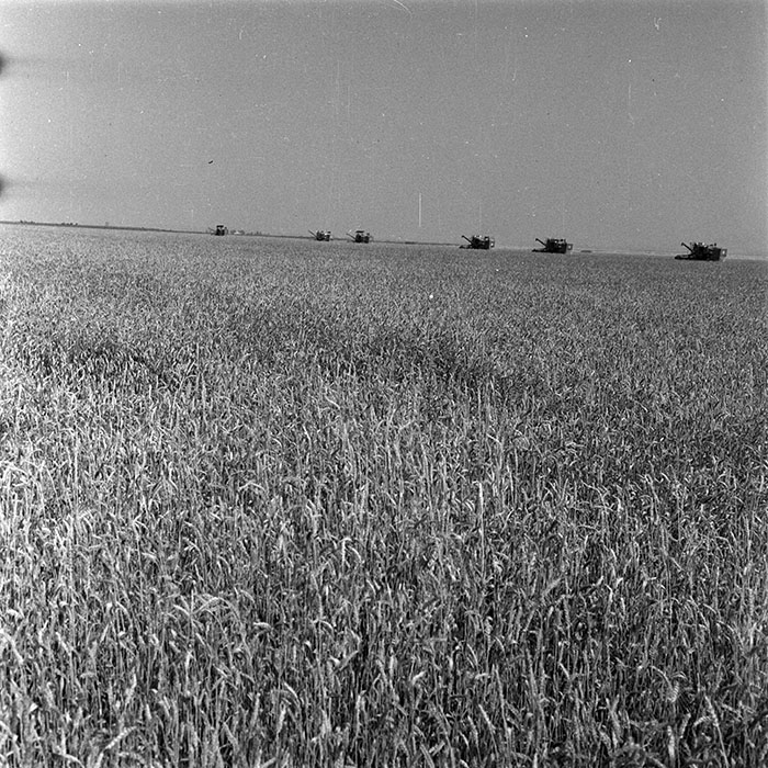 minerva_1987-1991_c2_c1r3_009