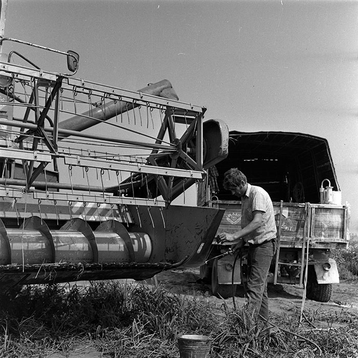 minerva_1987-1991_c2_c1r3_010