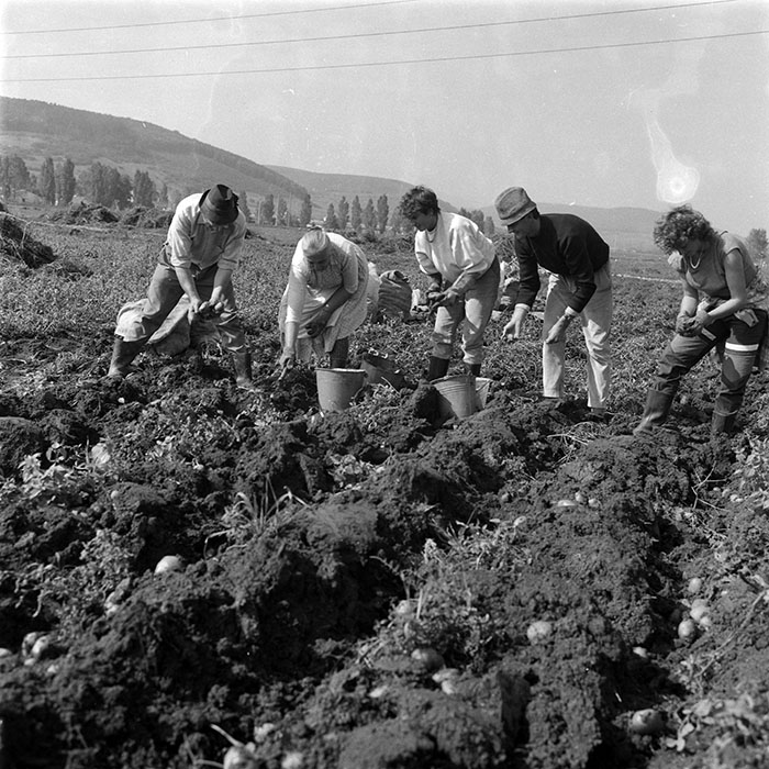 minerva_1987-1991_c2_c1r4_009