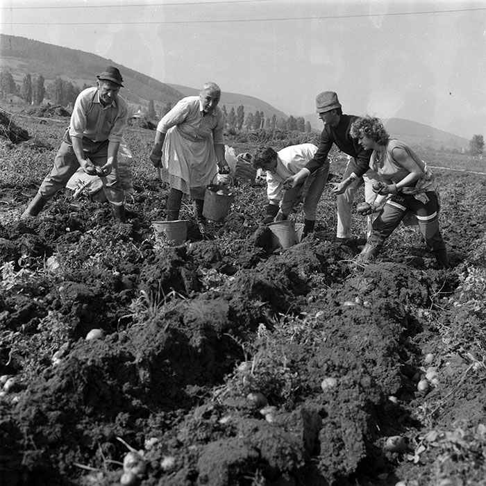 minerva_1987-1991_c2_c1r4_010