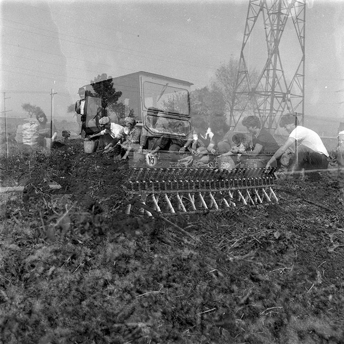 minerva_1987-1991_c2_c1r4_012