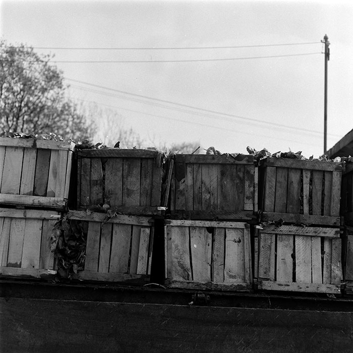 minerva_1987-1991_c2_c1r5_013