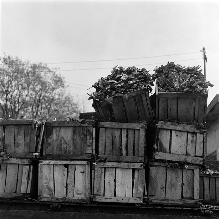 minerva_1987-1991_c2_c1r5_014