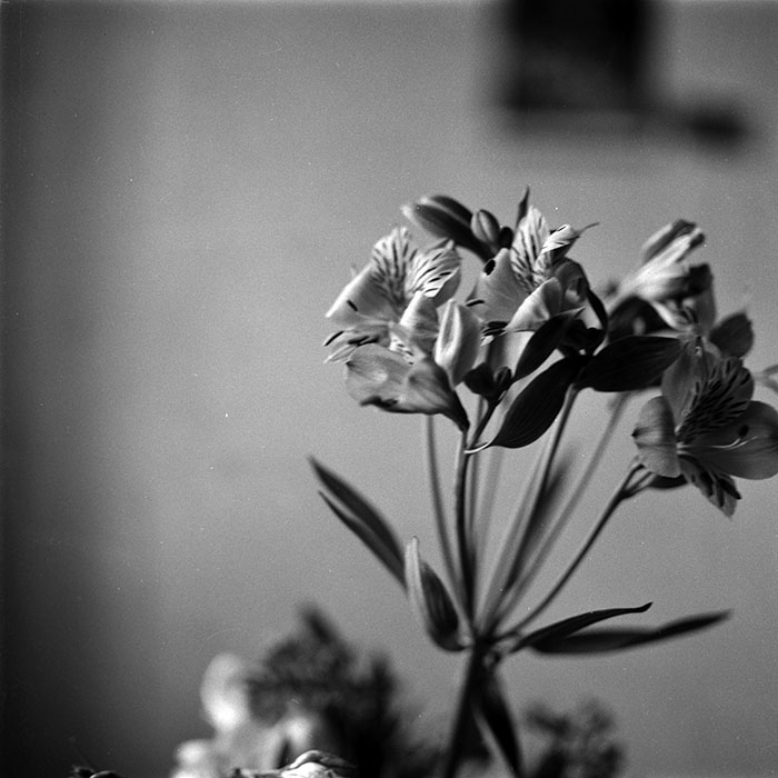 minerva_1987-1991_c2_c1r5_015