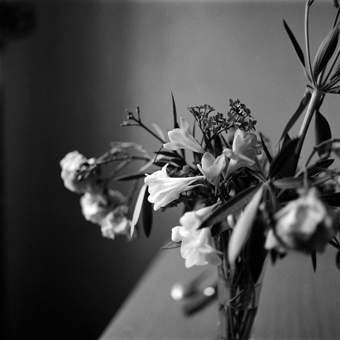 minerva_1987-1991_c2_c1r5_016