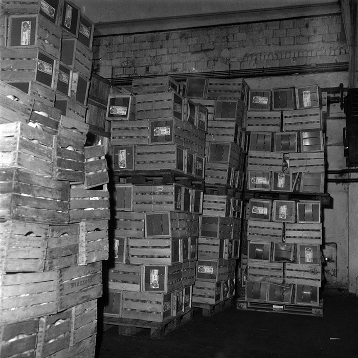 minerva_1987-1991_c2_c1r6_010