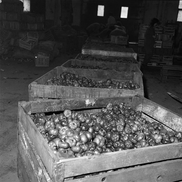 minerva_1987-1991_c2_c1r7_016