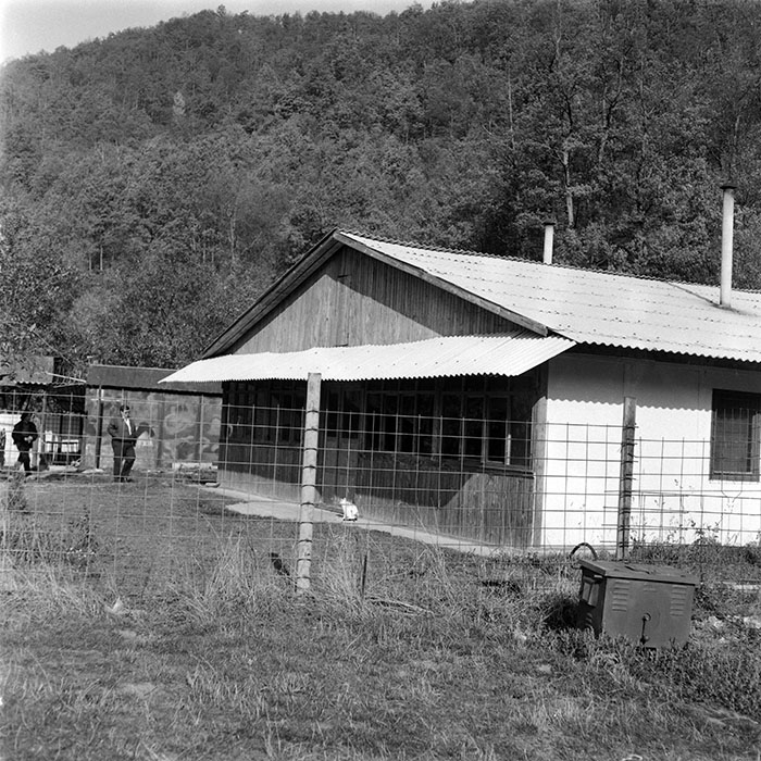 minerva_1987-1991_c2_c1r8_006