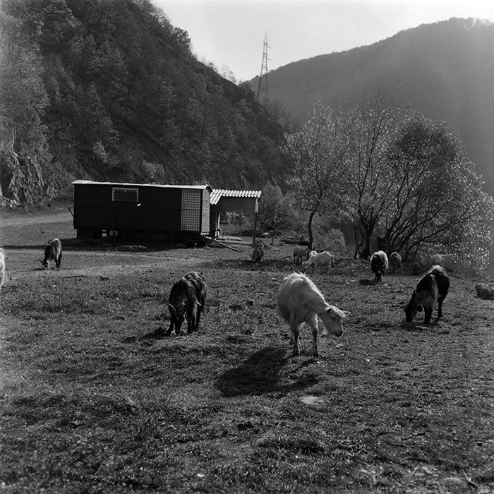 minerva_1987-1991_c2_c1r8_007