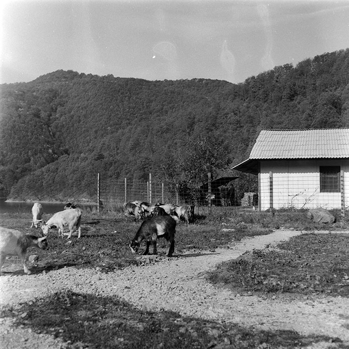 minerva_1987-1991_c2_c1r8_008