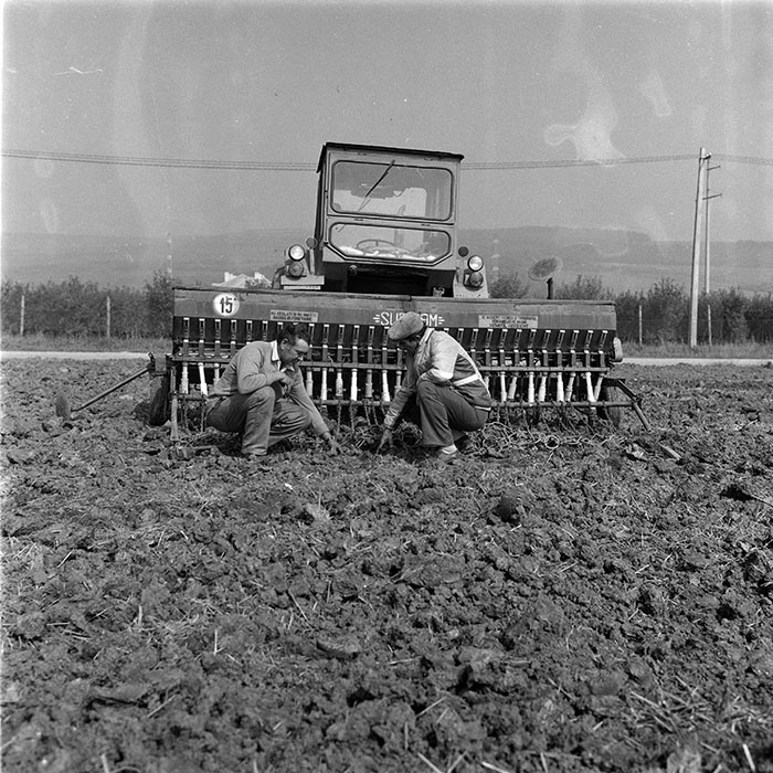 minerva_1987-1991_c2_c2r1_002