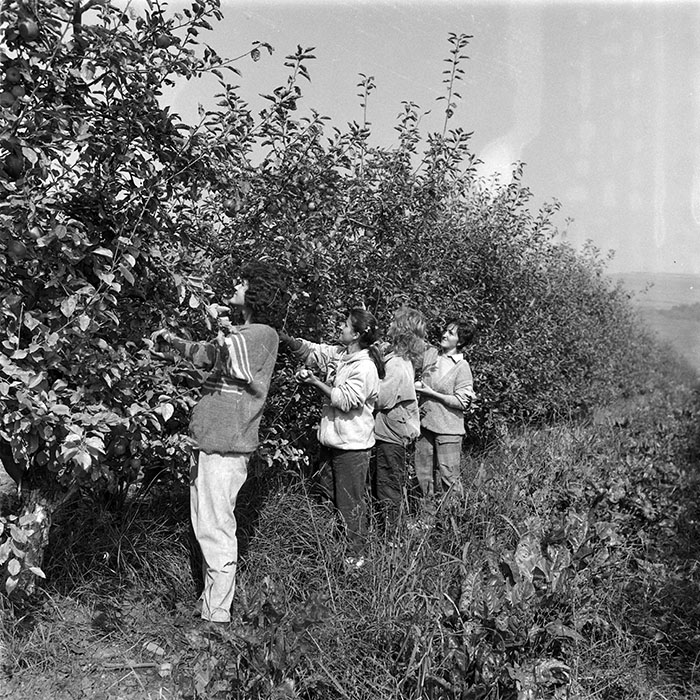 minerva_1987-1991_c2_c2r1_003