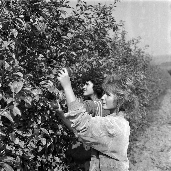 minerva_1987-1991_c2_c2r1_004