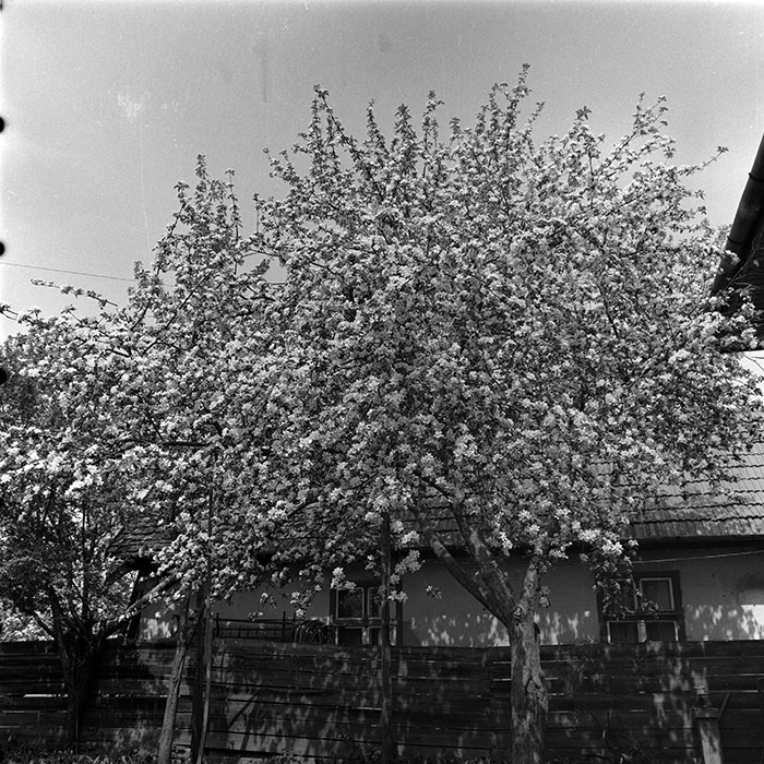 minerva_1987-1991_c2_c2r1_020