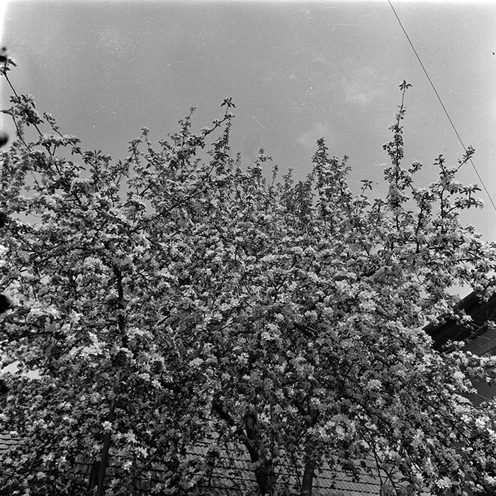 minerva_1987-1991_c2_c2r1_021