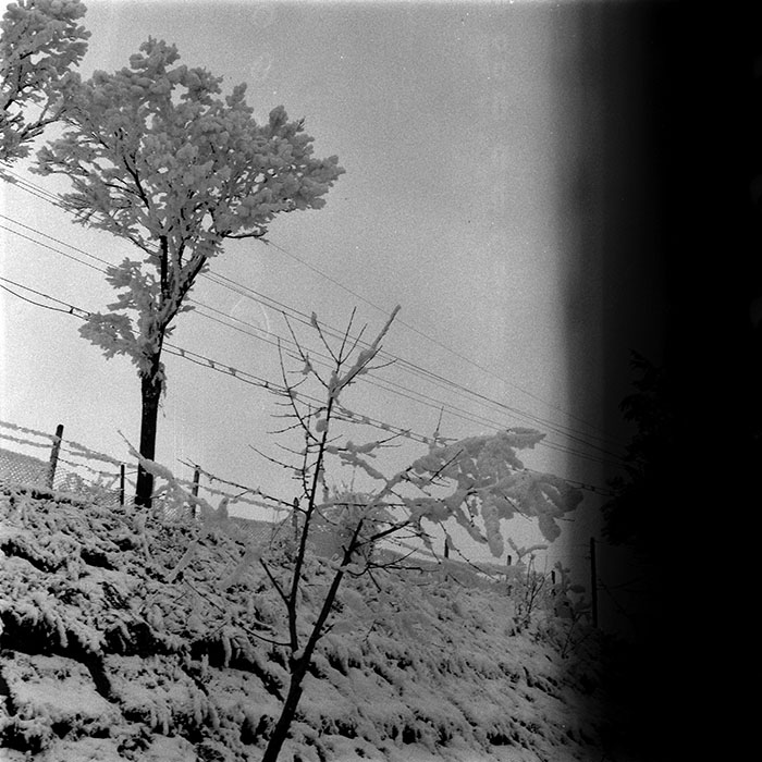 minerva_1987-1991_c2_c2r2_008