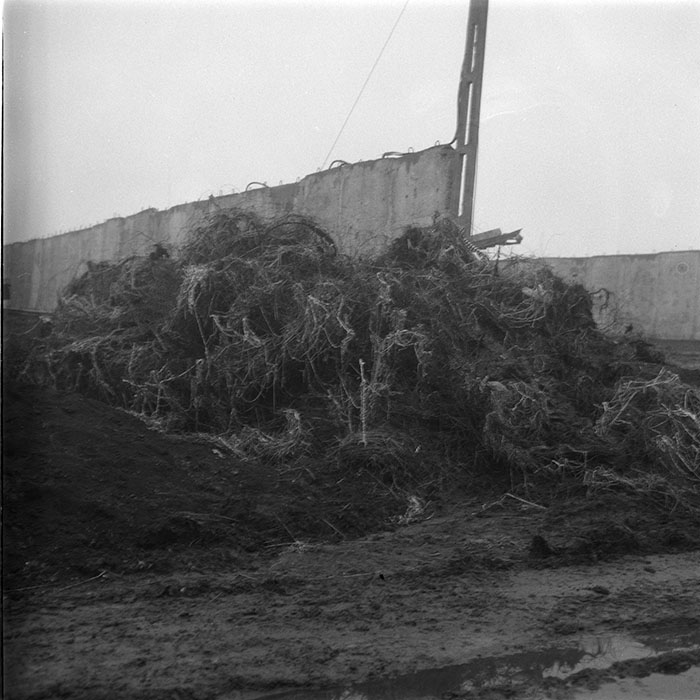 minerva_1987-1991_c2_c2r4_020