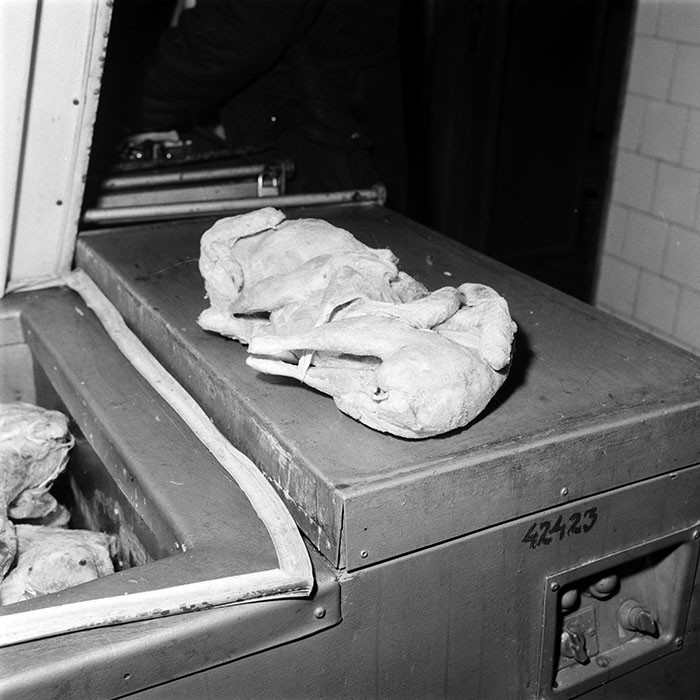 minerva_1987-1991_c2_c2r5_001