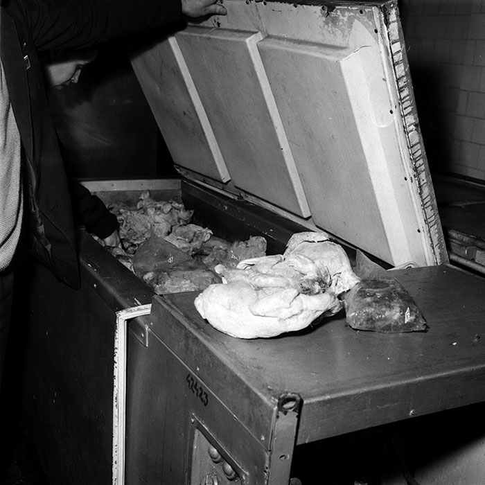 minerva_1987-1991_c2_c2r5_002