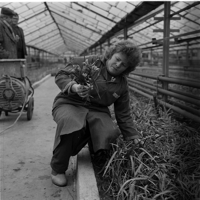 minerva_1987-1991_c2_c3r10_002