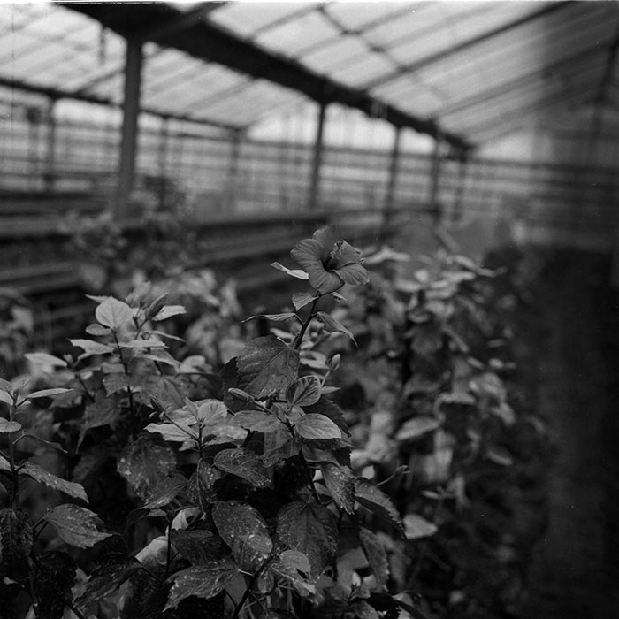 minerva_1987-1991_c2_c3r10_003