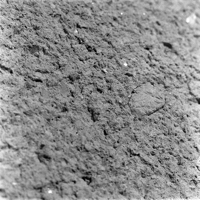 minerva_1987-1991_c2_c3r2_015