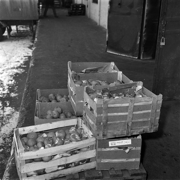 minerva_1987-1991_c2_c3r8_010