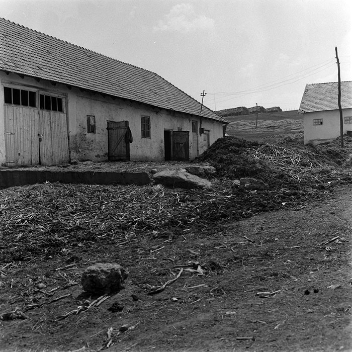 minerva_1987-1991_c2_c4r10_009