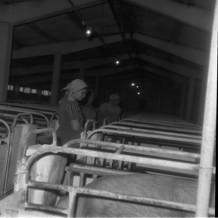 minerva_1987-1991_c2_c4r3_012