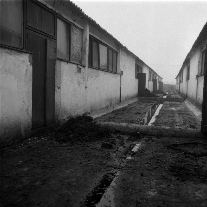 minerva_1987-1991_c2_c4r3_015