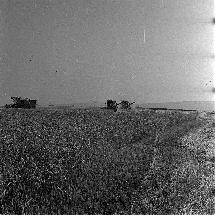 minerva_1987-1991_c2_c4r6_001