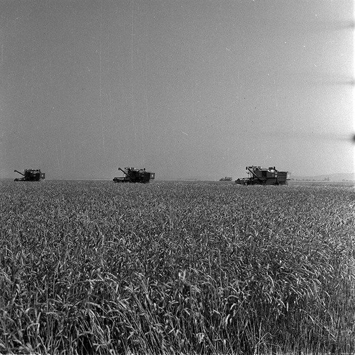 minerva_1987-1991_c2_c4r6_002