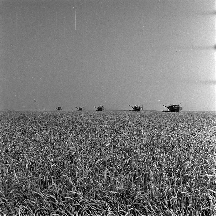 minerva_1987-1991_c2_c4r6_003