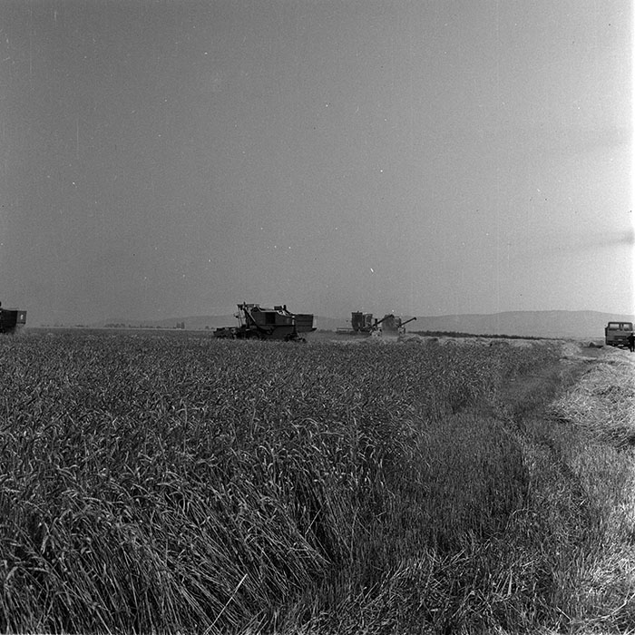 minerva_1987-1991_c2_c4r6_004