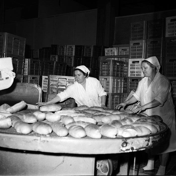 minerva_1987-1991_c2_c4r6_016