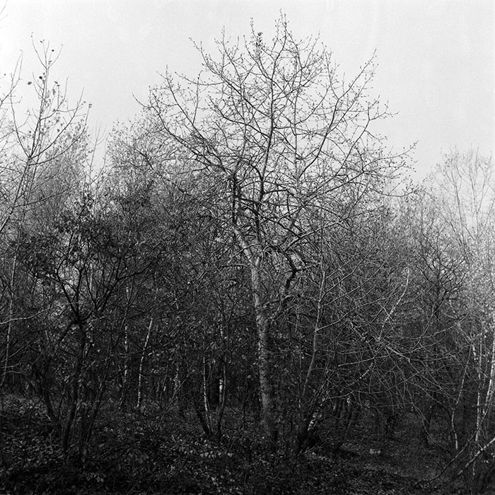 minerva_1987-1991_c2_c4r7_017