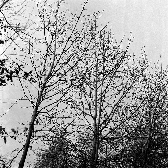 minerva_1987-1991_c2_c4r7_018