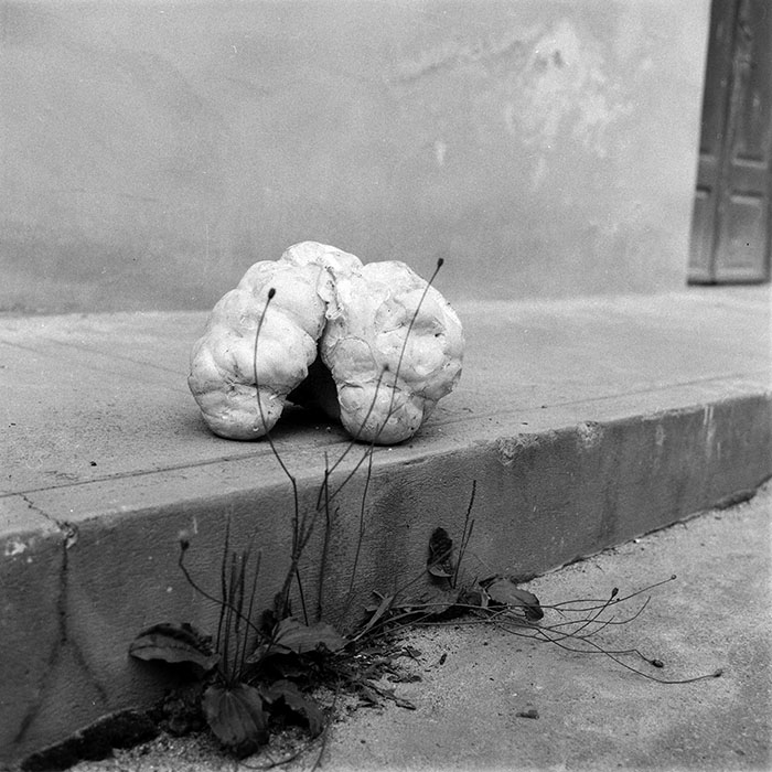 minerva_1987-1991_c2_c4r8_013