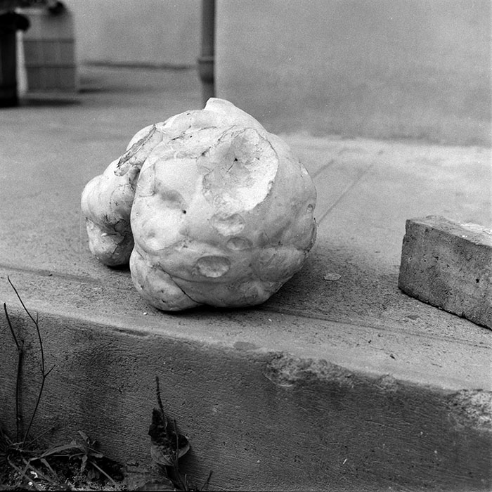 minerva_1987-1991_c2_c4r8_014