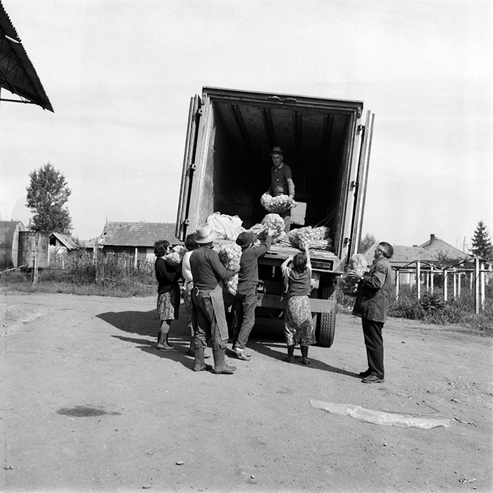 minerva_1987-1991_c2_c4r9_017