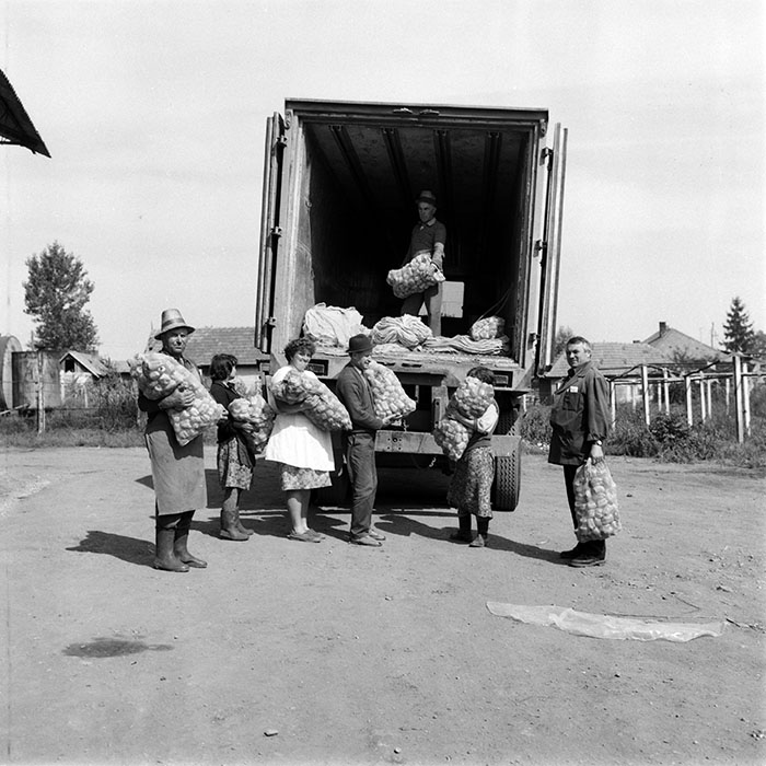 minerva_1987-1991_c2_c4r9_018