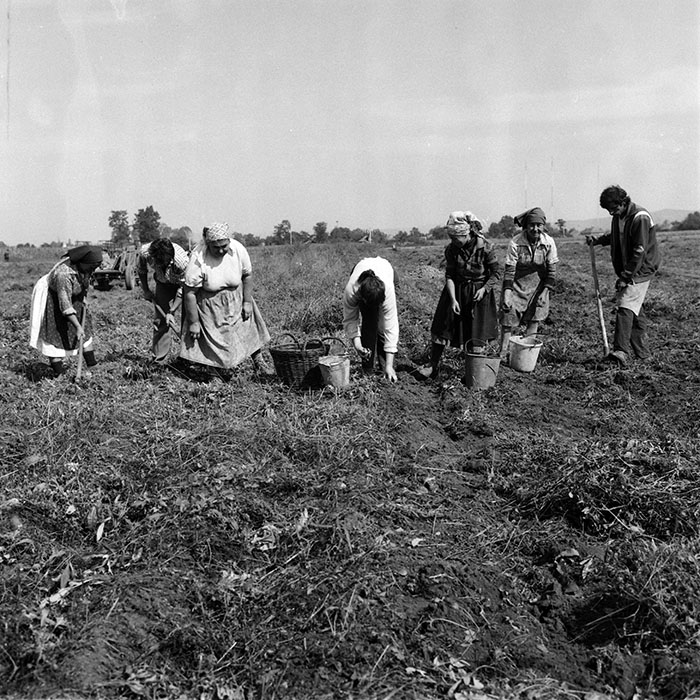 minerva_1987-1991_c2_c4r9_019