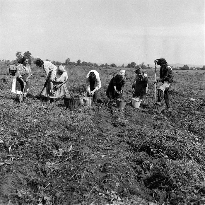 minerva_1987-1991_c2_c4r9_020