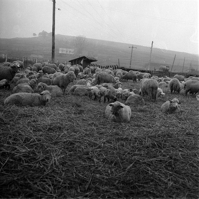 minerva_1987-1991_c2_c5r1_021