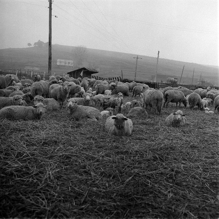 minerva_1987-1991_c2_c5r1_023