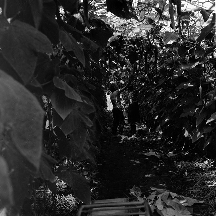 minerva_1987-1991_c2_c5r3_009