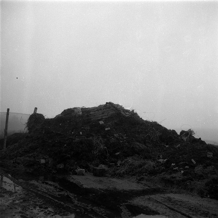 minerva_1987-1991_c2_c5r4_007