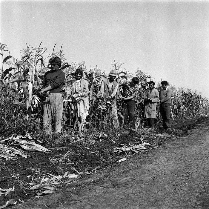 minerva_1987-1991_c2_c5r6_010